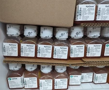 Exp 2027 Cytiva / Hyclone 100 ml fetal bovine serum, US origin, FBS