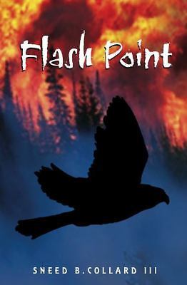 Flash Point - paperback, Collard III, 1561455776