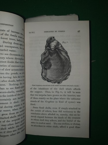 1838 ELEMENTS OF GEOLOGY BY LYELL - EARTHQUAKES DARWIN ORIGIN SPECIES - Picture 4 of 13