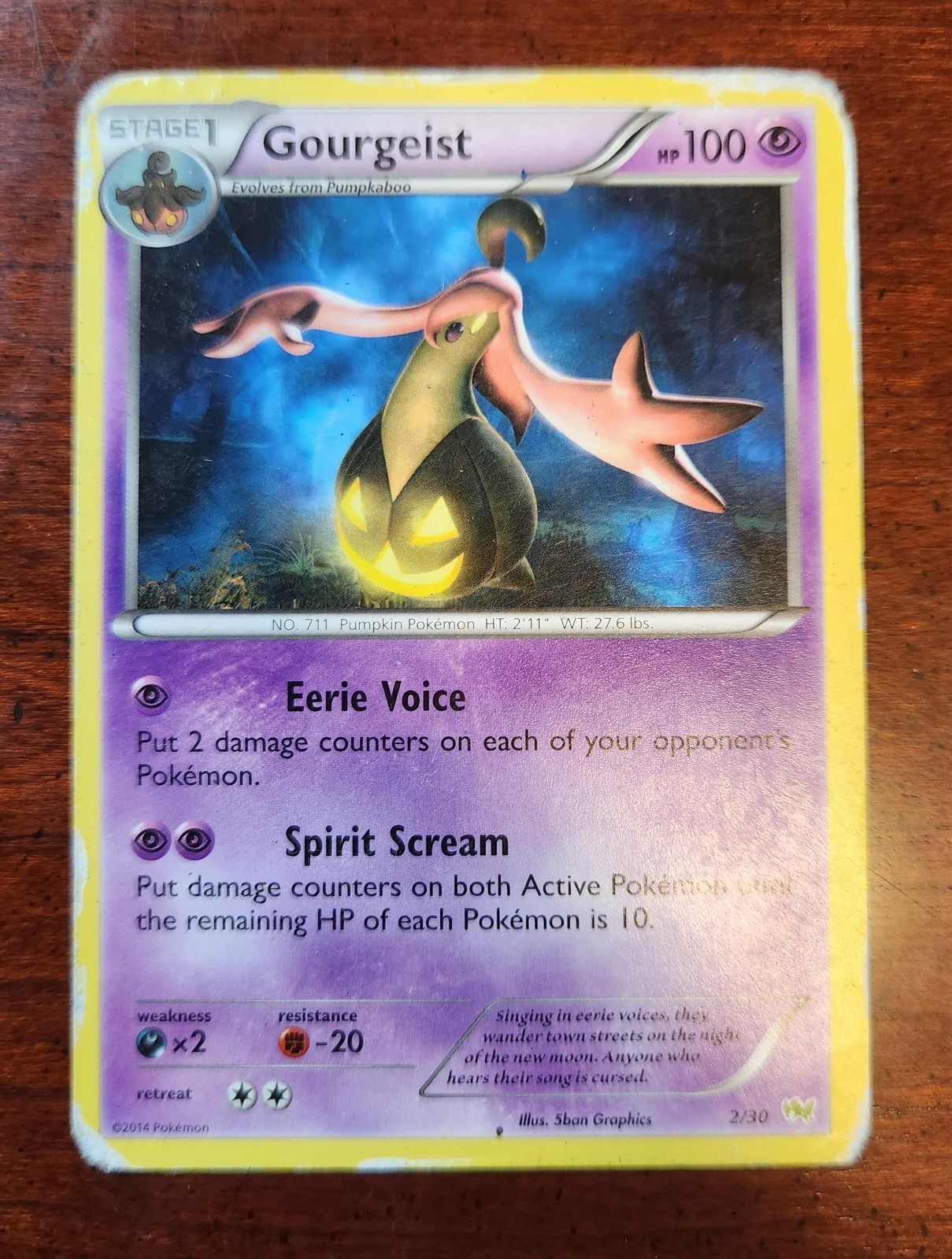 Gourgeist Pokemon Card, Trainer Kit – Noivern 2/30 - DAMAGED
