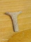 Civil War Leech and Rigdon SWORD Hanger Broken Port Hudson, Louisiana