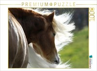 "Calvendo Puzzle A Photo From The \"Haflinger Beauties\" Calendar | 1000 Pieces, Fi"