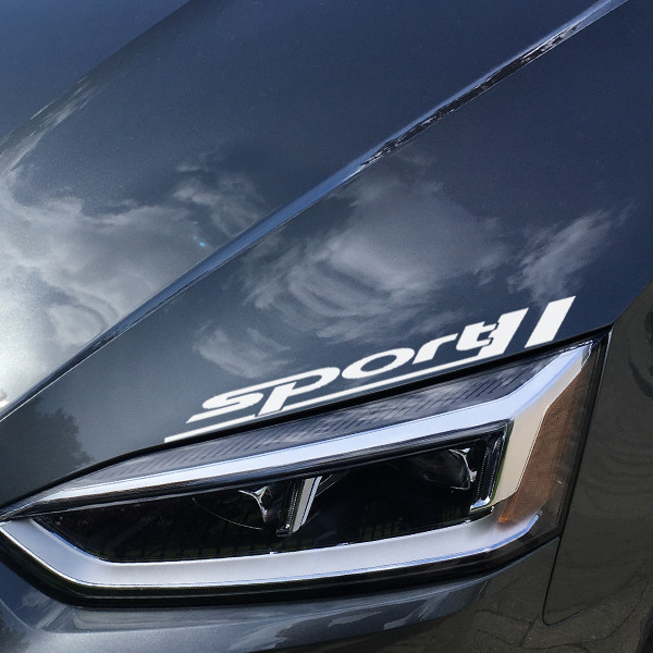 2X Multiple Color for Sport Car Hood Racing Emblem Symbol Vinyl Decal