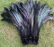 50pcs Black Bronze Rooster Coque Feathers 25-30cm DIY Art Craft Vase Costume