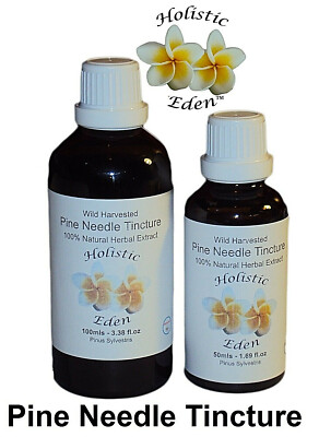 Pine Needle Tincture, Extract Wild Harvested Balkan Mountain Natural ...