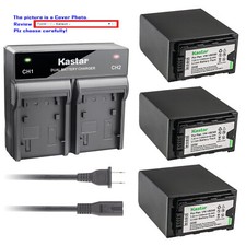 Kastar Battery AC Rapid Charger for Panasonic VW-VBD98 VBD29 VWVBD58 VW-VBD58E-K