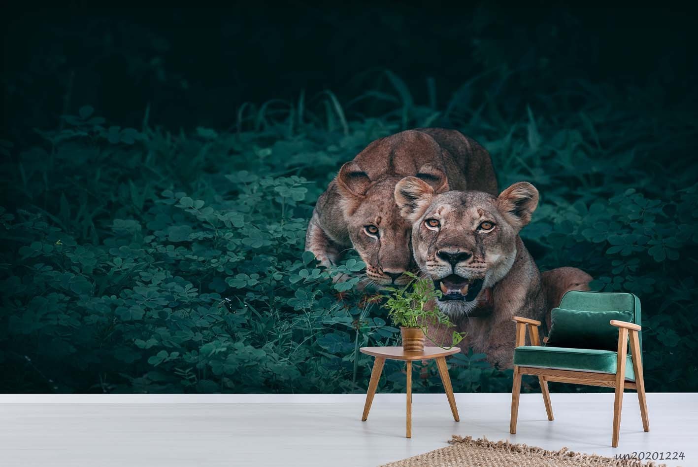 3D Lion Animal Close-up Wall Murals Wallpaper Murals Wall Sticker