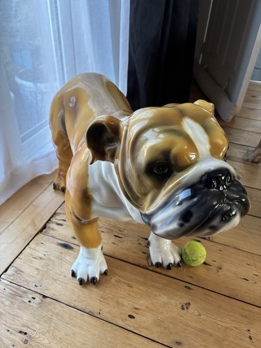 Vintage Life Size English Bulldog Figurine/ornament - Picture 4 of 7