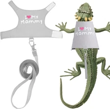 Bearded Dragon Leash and Harness Set, Cute Adjustable Lizard Reptile Harness ...
