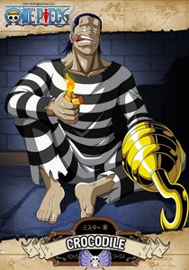 Poster One Piece Crocodile Monkey D Luffy Rufy Portgas D Ace Anime Manga 48 Ebay