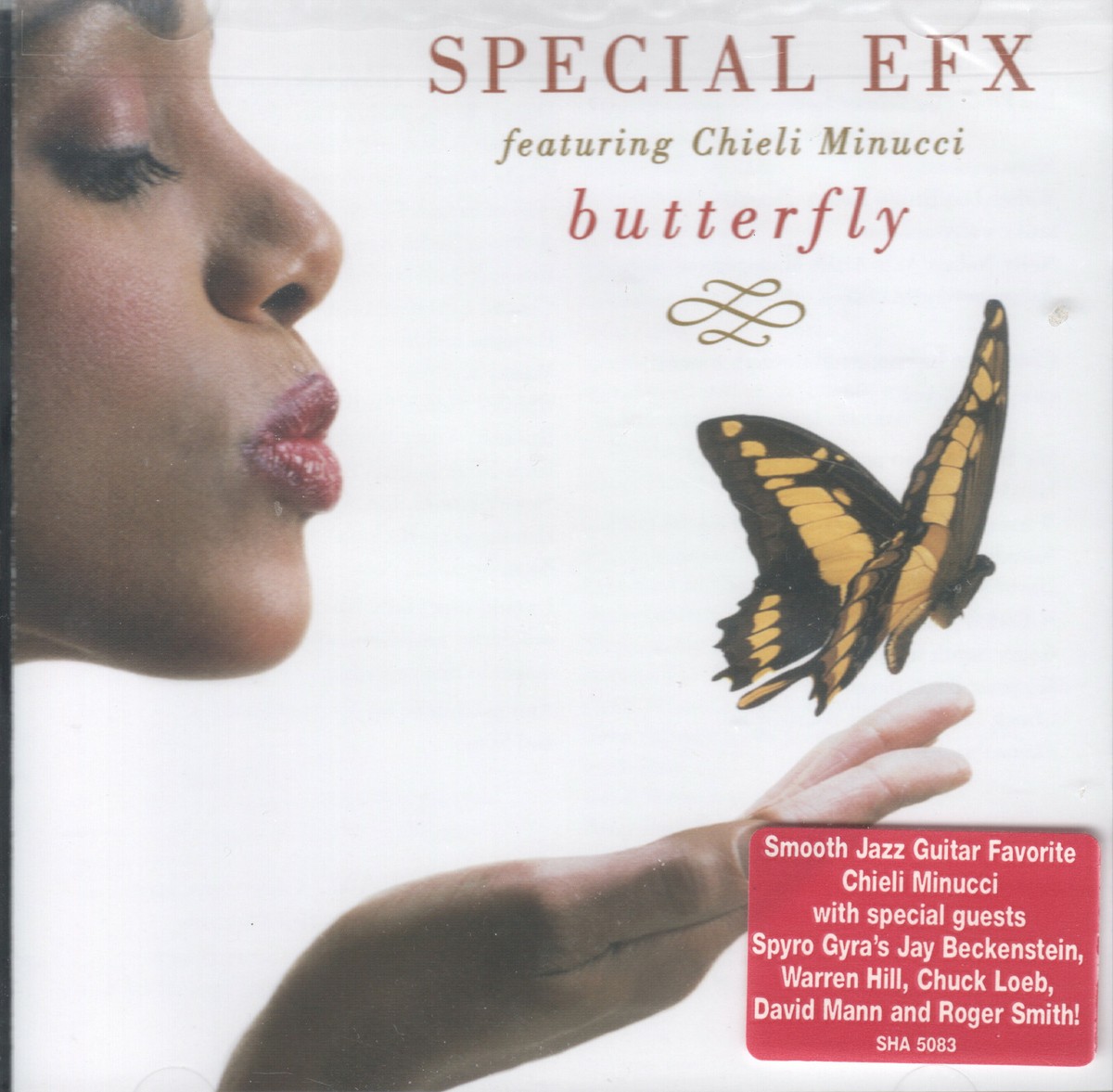 Butterfly – The Music of Butterfly 【LP】 Butterfly (Vincent Gallo and Harper Simon) - The Music of