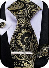 Paisley Ties for Men Silk Necktie and Pocket Square Cufflinks Tie Clip Set Woven