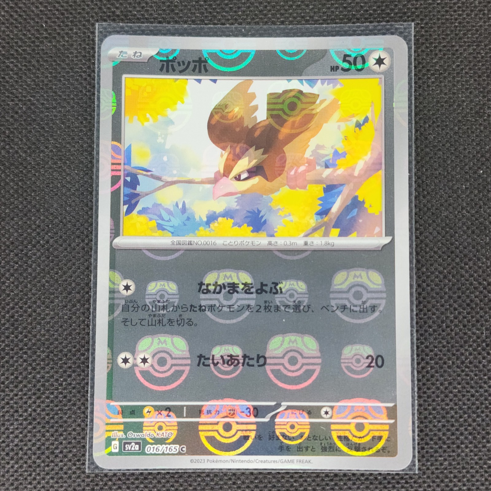 Pidgey - 016/165 - C - Masterball Holo - 151 - Japanese - Pokemon - NM/M