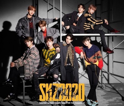 Stray Kids SKZ2020 Japan First Press Limited Edition 2CD+DVD Photo Book Card New