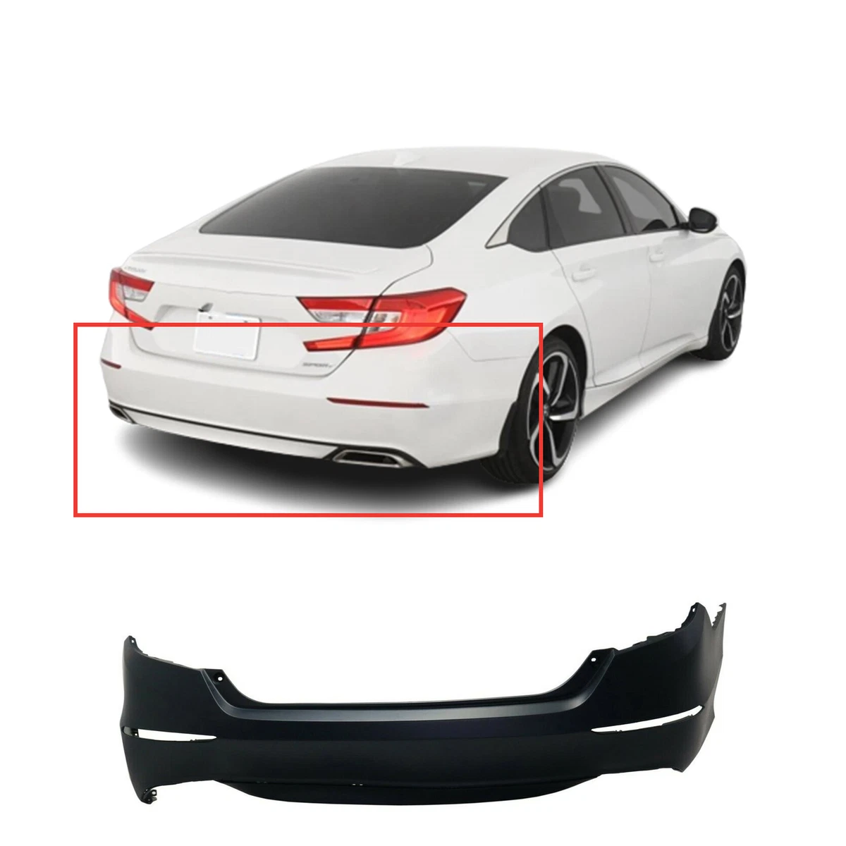 2019 honda accord 2024 rear bumper protector