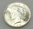 1923 Peace Silver Dollar BU Frosty Bright Luster in saflip #V348