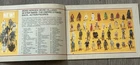Vintage STAR WARS TESB KENNER 1982 Mini Catalog Gray Cover Stitched Spine