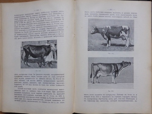 Russian book. Manual Merchandizing. Moscow. 1913. Part II ... - Picture 3 of 12