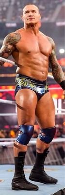 WWE TNA AEW GIANT 2 x6  TALL VINYL BANNER - RANDY ORTON