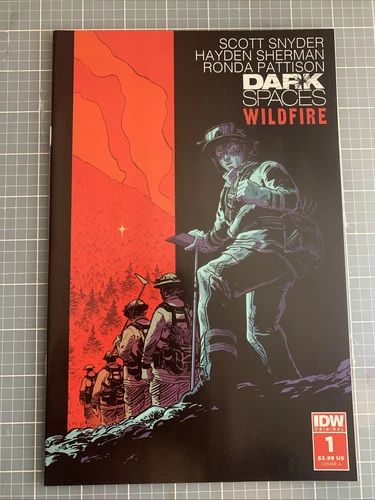 DARK SPACES WILDFIRE # 1 — Cover A - OPTIONED IDW — NM-