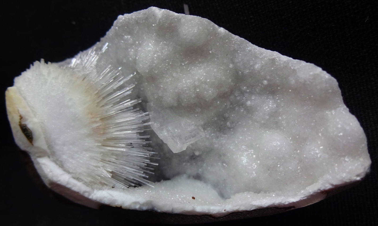 Scolesite Blow Ball W/ Ep-Stilbite In Semi Geode Matrix Minerals Specim