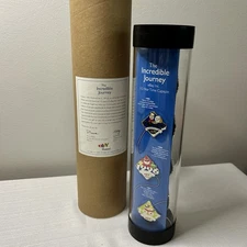 eBay Time Capsule The Incredible Journey Pin Collection 10 Year Anniversary 2005