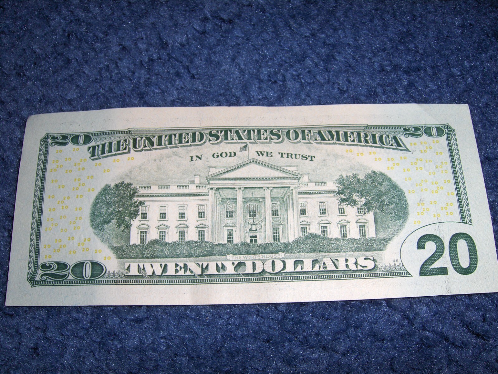Picture 6 of 6
