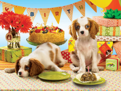 COBBLE HILL 1000 Piece Jigsaw Puzzle EVERY DOG HAS ITS DAY Random Pieces NEW