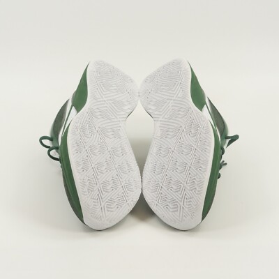 Nike Giannis Zoom Freak 6 TB  display picture 1