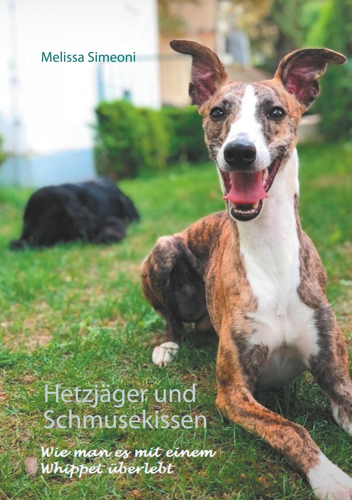 Melissa Simeoni | Hetzjäger Und Schmusekissen | Taschenbuch | Deutsch