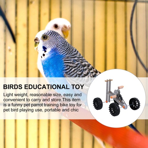 Parrot Training en ligne Toy Vélo Dentraînement Des Oiseaux Enfant Jouet Dalimentation