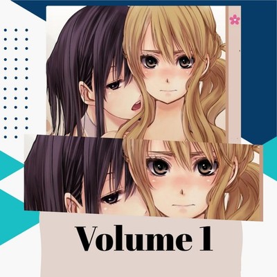 Citrus Vol 1-10 (End) Manga English Full Set Comic Books New by