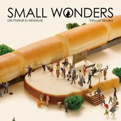 Small Wonders - Life Portrait in Miniature | Tatsuya Tanaka | Buch | Gebunden