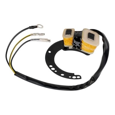Outboards CDI Stator For Mercury 6/8/9.9/10/15/18/20/25/35/40 HP 2Cyl 174-6617K1