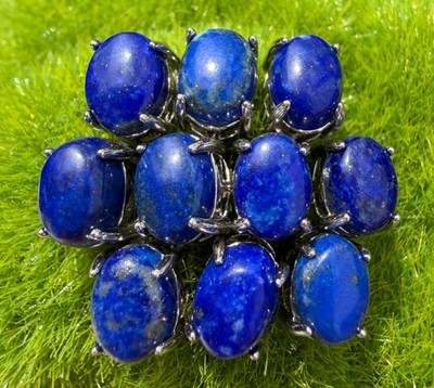 Wholesale 5 Pairs Natural Lapis Lazuli Stud Earring 6x8mm