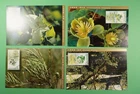 DR WHO CHINA PRC 4 FDC MAXIMUM CARD PLANT/TREE/FLOWER R62566