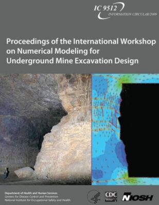 Proceedings Of The International Workshop On Numerical Modeling For Undergr...