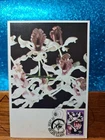 First Day Cover Postcard📮1986 (55c) Melbourne VIC AUSTRALIAN NATIVE ORCHIDS 📮