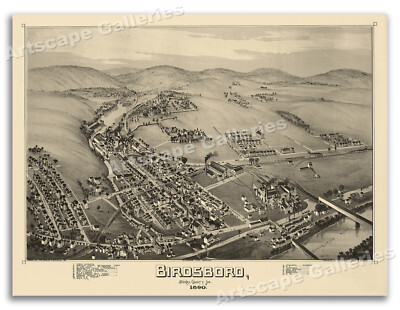 1890 Birdsboro Pennsylvania Vintage Old Panoramic City Map - 24x32