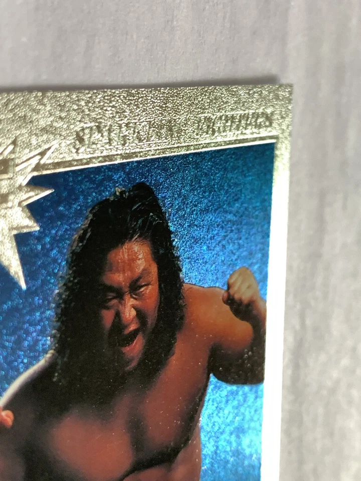 Kodo Fuyuki SF 109 Pro-Wrestling BBM 1997 Fight magazine rare card Japan F/S #3 - Image 3 of 4