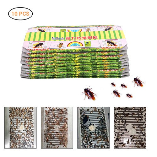 10 x Schabenfalle Kakerlakenfalle Falle Schaben insektenabwehr Köder Gel DE - Bild 2 von 8