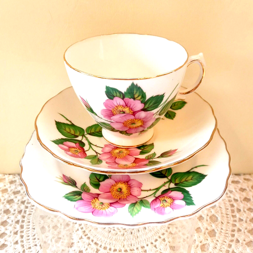 Vintage 1950er ROYAL VALE Bone China Tee Trio Set Atemberaubend Wild Rosa Rosen Design