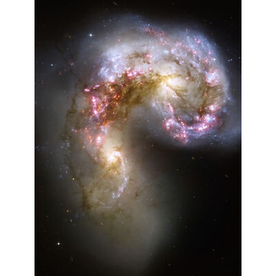 Hubble Weltraumteleskop Antennen Galaxien NGC 4038-4039 Kunst Leinwandbild 18X24