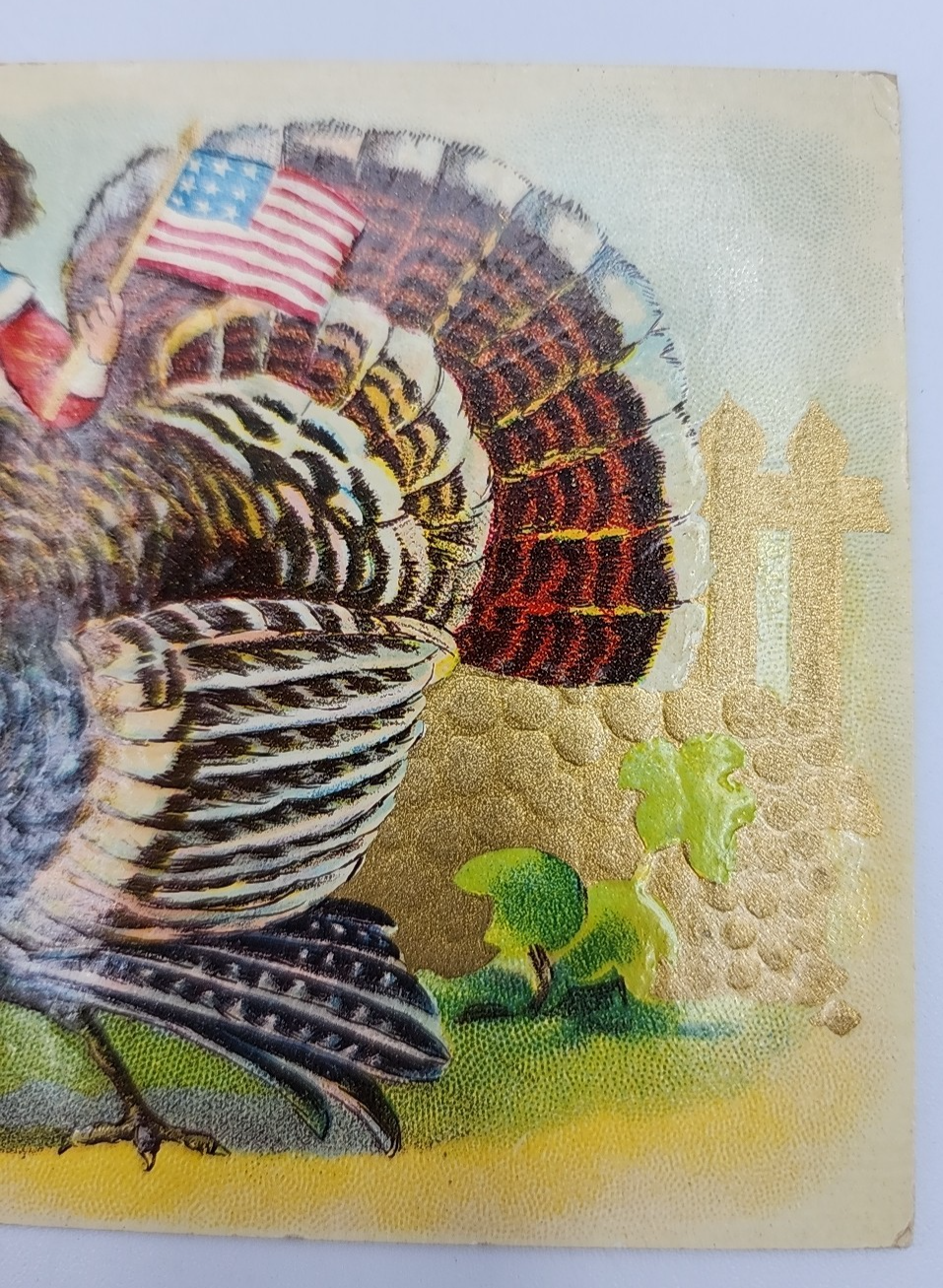 Picture 8 of 16