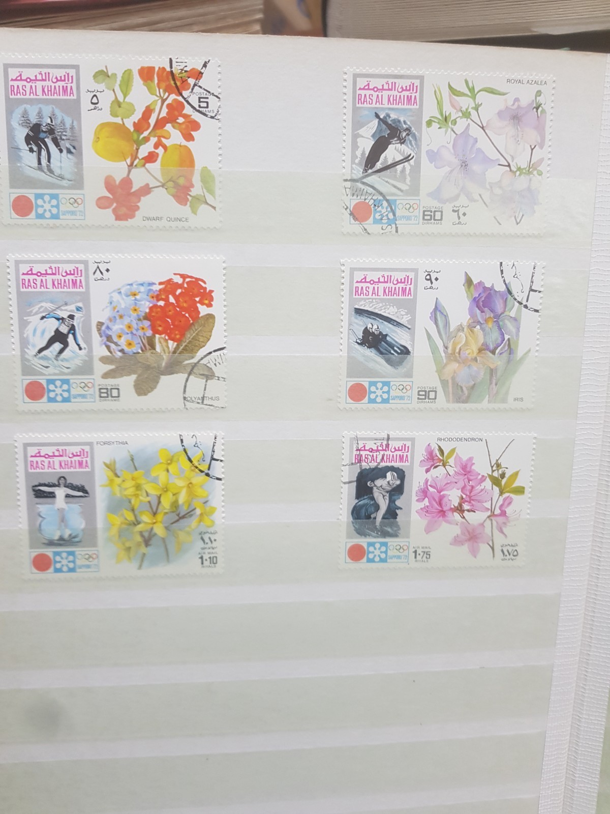 Bild 23 von 24