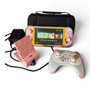 Pink Switch Lite | eBay