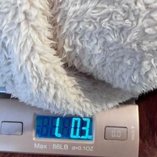 Forever21 Womens Fuzzy Teddy Coat Hooded Zip-Up Jacket Beige Size M - Bild 9 von 9