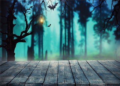 Fantasy Scene Spooky Halloween Night5X3FT Vinyl Studio Backdrop Photo