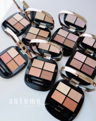Cosme Decorte Skin Shadow Designing Palette – Multiple