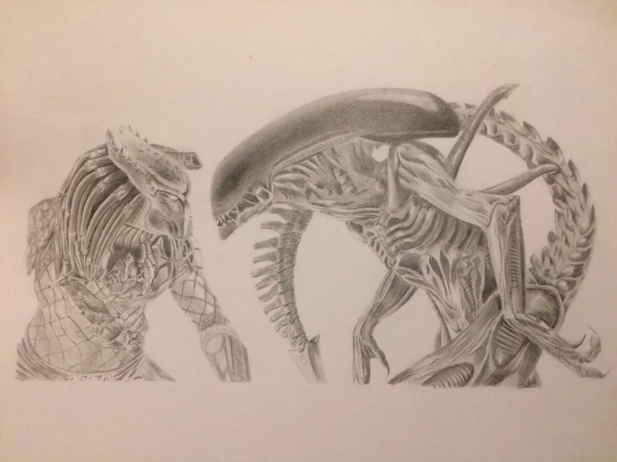 Alien vs. Predator  Alien vs predator, Predator artwork, Predator art